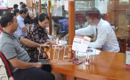 Agribank Tiền Hải: Ưu tiên vốn cho vay phát triển nông nghiệp, nông thôn