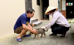 Chủ động phòng chống bệnh dại, bảo vệ sức khỏe cộng đồng