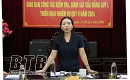 Chú trọng kiểm tra những lĩnh vực nhạy cảm, dễ phát sinh sai phạm