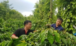 Đích đến của Việt Nam trong Chiến lược Quốc gia về Tăng trưởng Xanh