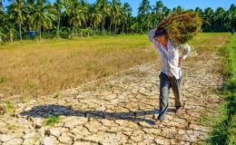 Khô hạn sẽ xảy ra tại nhiều địa phương
