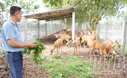 Làm giàu từ nuôi con đặc sản
