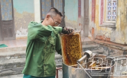Làm giàu từ nuôi ong lấy mật
