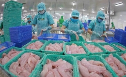 Mỹ-Nhật-Trung là 3 thị trường nhập khẩu lớn nhất của thủy sản Việt Nam