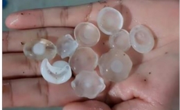 Nhiều địa phương thiệt hại do mưa đá