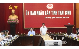 Phấn đấu hoàn thành vượt mức thu ngân sách cả về thuế, phí và thu tiền sử dụng đất