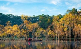 Suối Tía hồ Tuyền Lâm mùa lá vàng đẹp như tranh