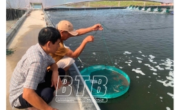 Thái Đô: Phát triển nuôi trồng, đánh bắt thủy sản bền vững