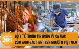 Thông tin về ca mắc cúm A(H9) đầu tiên tại Việt Nam