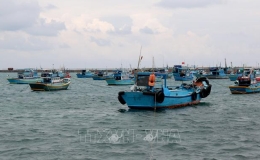 Thuyền trưởng, chủ tàu cá phải chấp hành nghiêm cảnh báo của thiết bị giám sát hành trình tàu cá