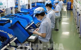 Việt Nam dẫn đầu châu Á - Thái Bình Dương về mức độ hài lòng tại nơi làm việc