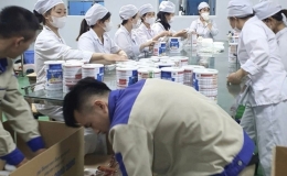 Bộ Y tế yêu cầu rà soát thông tin liên quan cơ sở sản xuất, buôn bán sữa giả