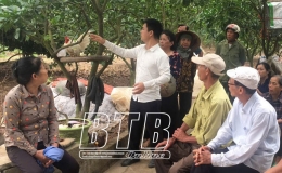 Nâng cao kỹ thuật trồng và chăm sóc cây ăn quả cho hội viên, nông dân