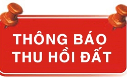Thông báo Quyết định về việc cưỡng chế thu hồi đất (lần 3)