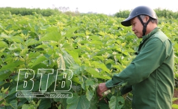 Vũ Thư: Đánh thức tiềm năng phát triển du lịch