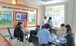 Cả nước có hơn 1.000 sàn giao dịch bất động sản thành lập