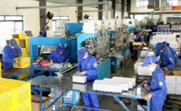 Đầu tư nước ngoài chủ yếu vào công nghiệp chế tạo