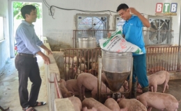 Học Bác từ những điều bình dị nhất