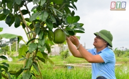 Chuyện làm giàu của Tiến