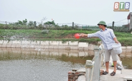 Thái Thụy: Xuất hiện bệnh đốm trắng trên tôm