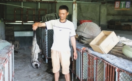 Nuôi chồn làm giàu