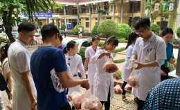 Cán bộ viên chức khối phòng Bệnh viện Đa khoa tỉnh Thái Bình tiêu thụ thịt lợn giúp người chăn nuôi