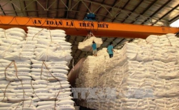 Giá đường giảm mạnh