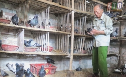 Nông dân Kiến Xương: Thi đua sản xuất, kinh doanh giỏi
