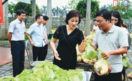Thành phố: Chung tay tiêu thụ thịt lợn