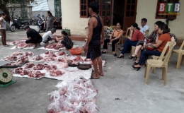 Vũ Thư còn 15.000 con lợn khỏe mạnh cần tiêu thụ
