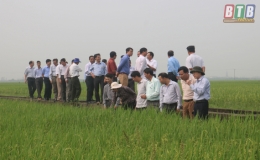 Quỳnh Phụ: Hội nghị trao đổi kinh nghiệm sản xuất vụ xuân