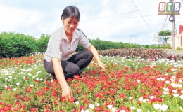 Vũ Thư: Học và làm theo Bác