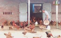 Ông Thịnh làm giàu từ VAC