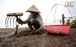 4 tháng, sản lượng nuôi trồng thủy sản đạt 47.190 tấn