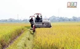 Bác về - đất nở hoa
