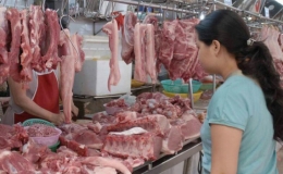 Giá thịt lợn hơi vẫn ở mức gần 100.000 đồng/kg