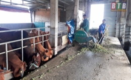 Ngành Nông nghiệp: Chuyển dịch để thích ứng với biến đổi khí hậu