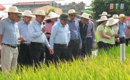 Suy ngẫm về văn kiện trung tâm của Đại hội Đảng bộ tỉnh lần thứ XX