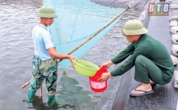 Thái Thụy: Nuôi thả vụ tôm xuân hè