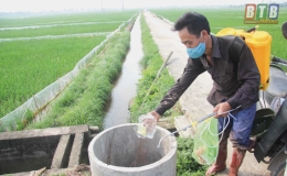 Tiền Hải: Hiệu quả mô hình thu gom bao bì thuốc bảo vệ thực vật
