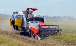 Tiếp tục đề xuất miễn thuế đất nông nghiệp để phát triển kinh tế