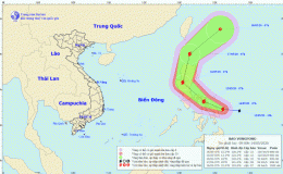Tin về cơn bão Vongfong