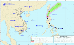 Tin về cơn bão Vongfong