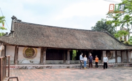 Tình Bác sáng đời ta