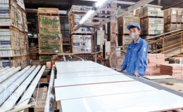 Nhà máy gạch Mikado Thái Bình: Vừa phòng, chống dịch vừa ổn định sản xuất