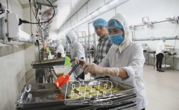 Phát triển nông nghiệp hàng hóa tập trung