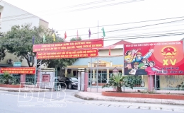 Quỳnh Hải: Chuẩn bị bầu cử gắn với phòng, chống dịch Covid-19