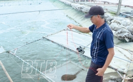 Thái Thụy: Phòng, chống dịch bệnh cho thủy sản