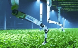 Tương lai robot sẽ chăm cây trồng thay con người