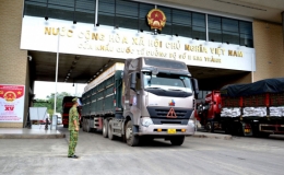 Xuất khẩu 3.400 tấn vải thiều sớm qua cửa khẩu Kim Thành